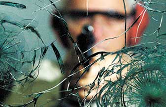 Edilson Insulfilms - Foto 1