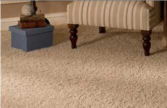 Vest-Car Center - Foto 1