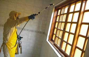 D D Rom Dedetizadora - Foto 1