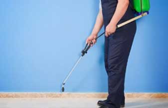 Imunizadora Nr - Foto 1