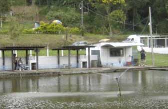 Agropesca Beira Rio - Foto 1