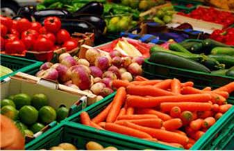 Verdurao Da Jatuarana - Foto 1