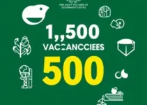 Governo de RO oferta 1.500 vagas de cursos técnicos em Porto Velho