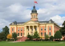 heteroidentificação