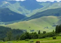 Parque Natural de Porto Velho