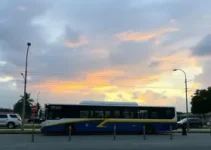 gestão da rodoviária de Porto Velho