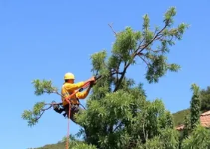 Últimas noticias de Porto Velho