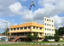 USF Caladinho