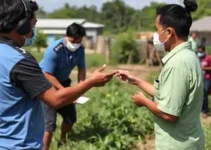 capacitação agentes comunitários saúde hepatites virais