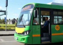 serviços gratuitos Porto Velho