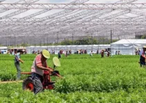 Agrotec 2026