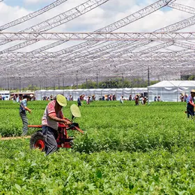 Agrotec 2026