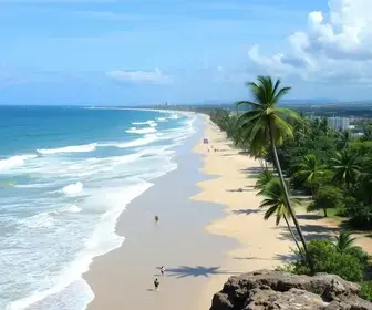 Concurso Semed Porto Velho