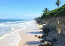 opções gratuitas em Porto Velho