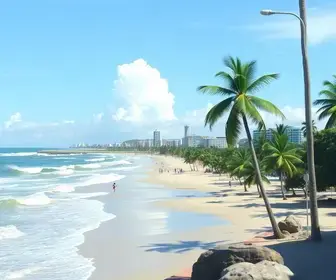 editais dos concursos públicos