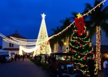 Natal Porto Velho Luz 2026