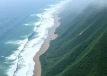 situação de emergência